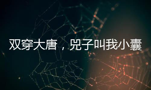 雙穿大唐，兕子叫我小囊君