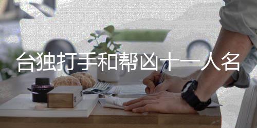 臺獨打手和幫兇十一人名單公布，揭示臺獨分子丑陋真面目