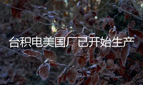 臺積電美國廠已開始生產(chǎn)Ryzen 9000系列