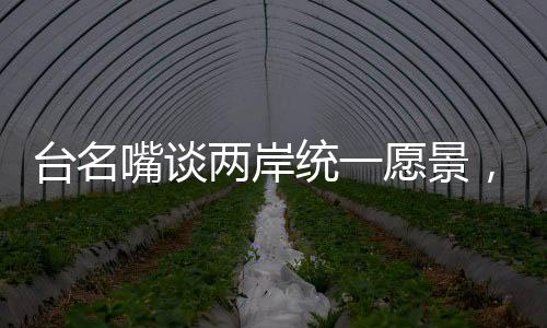 臺名嘴談兩岸統(tǒng)一愿景，甘之如飴，期待全面實現(xiàn)