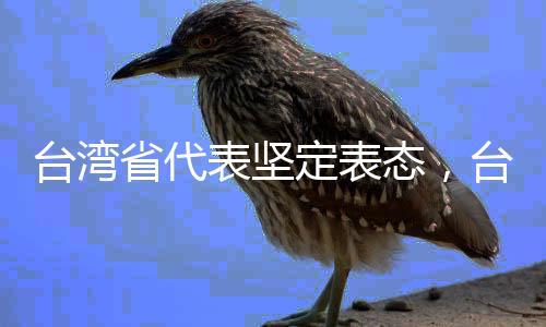 臺灣省代表堅定表態(tài)，臺灣的最大靠山就是祖國