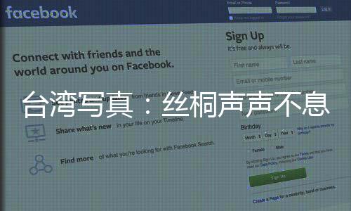 臺灣寫真：絲桐聲聲不息 古琴在臺灣民間傳承
