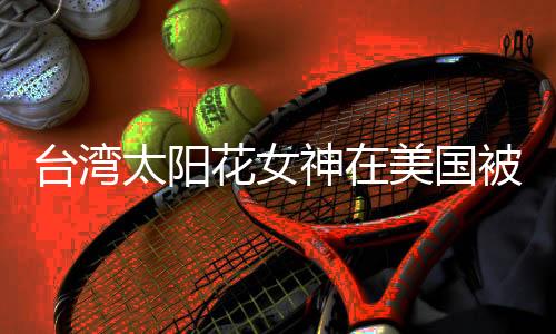 臺(tái)灣太陽花女神在美國被捕