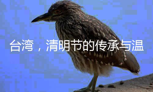 臺灣，清明節(jié)的傳承與溫情