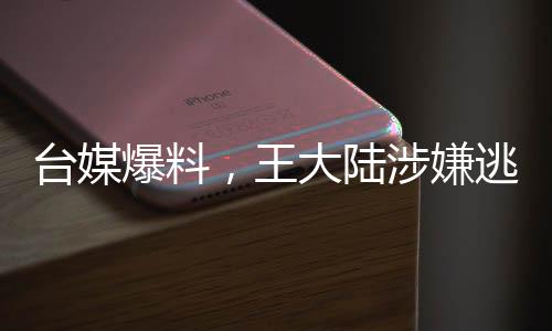 臺(tái)媒爆料，王大陸涉嫌逃兵役被捕，引發(fā)社會(huì)關(guān)注