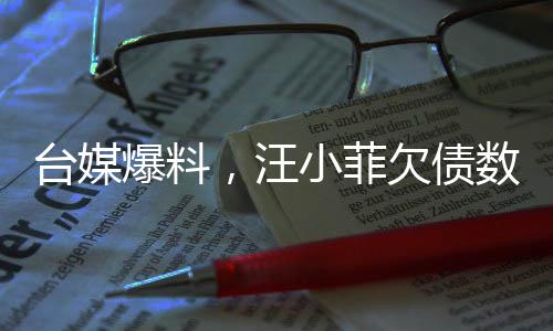 臺(tái)媒爆料，汪小菲欠債數(shù)億，大S緊急求助，究竟何時(shí)還清？