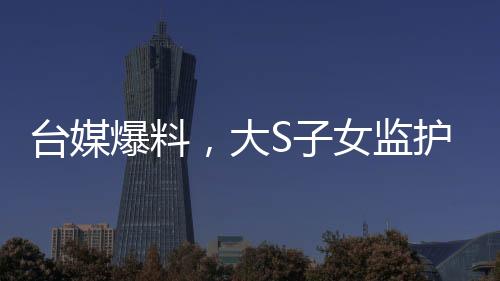 臺(tái)媒爆料，大S子女監(jiān)護(hù)權(quán)移交汪小菲