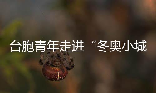 臺(tái)胞青年走進(jìn)“冬奧小城”崇禮  共享冰雪激情