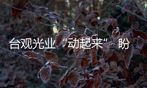 臺(tái)觀光業(yè)“動(dòng)起來(lái)” 盼農(nóng)歷新年后迎陸客