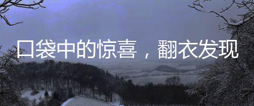 口袋中的驚喜，翻衣發(fā)現(xiàn)巨額彩票，一夜贏得1800萬！