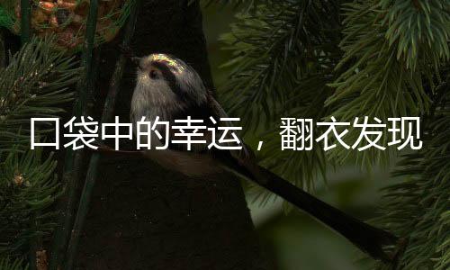 口袋中的幸運(yùn)，翻衣發(fā)現(xiàn)巨額彩票，贏得1800萬大獎(jiǎng)
