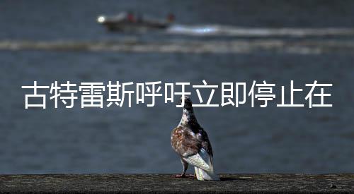 古特雷斯呼吁立即停止在黎軍事行動(dòng)，呼吁各方緩和緊張局勢(shì)，尋求和平解決方案