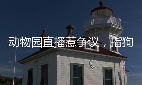 動(dòng)物園直播惹爭議，指狗為虎事件揭秘，園方回應(yīng)