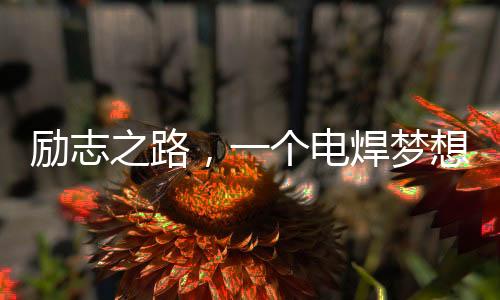 勵(lì)志之路，一個(gè)電焊夢想的光芒，零零后月入超萬的逆襲之路