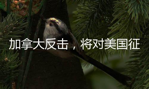 加拿大反擊，將對美國征收25%關(guān)稅，貿(mào)易戰(zhàn)再度升級