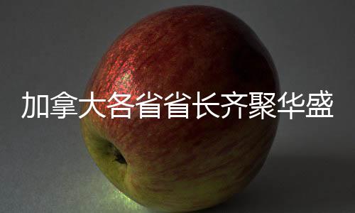 加拿大各省省長齊聚華盛頓，共商合作與發(fā)展大計
