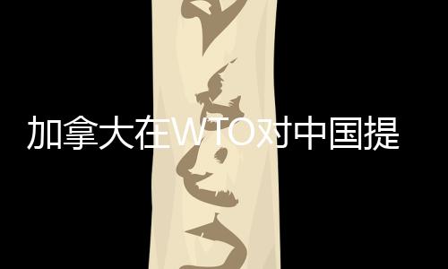 加拿大在WTO對中國提起申訴 中方回應(yīng)，全球貿(mào)易挑戰(zhàn)與應(yīng)對之道