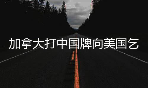 加拿大打中國(guó)牌向美國(guó)乞憐，背后的復(fù)雜因素與影響分析