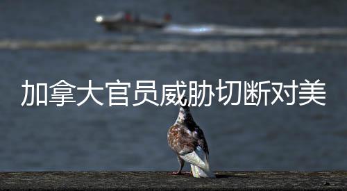 加拿大官員威脅切斷對美電力供應(yīng)，兩國能源關(guān)系面臨嚴(yán)峻挑戰(zhàn)