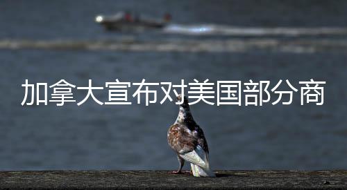 加拿大宣布對美國部分商品征收25%關稅，影響與后續(xù)分析
