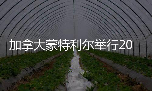 加拿大蒙特利爾舉行2025“歡樂(lè)西島”多元文化春晚