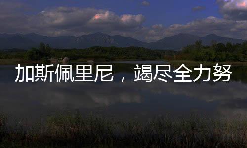 加斯佩里尼，竭盡全力努力贏得意甲冠軍