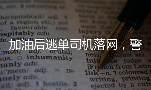加油后逃單司機落網(wǎng)，警方迅速行動揭示事件真相
