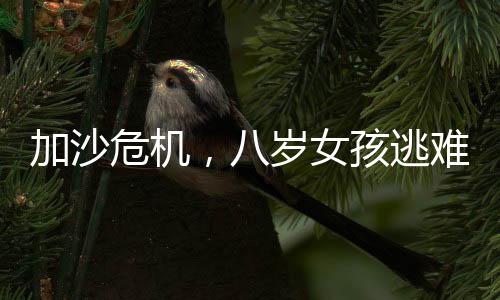 加沙危機(jī)，八歲女孩逃難中失去秀發(fā)，折射出的苦難與挑戰(zhàn)