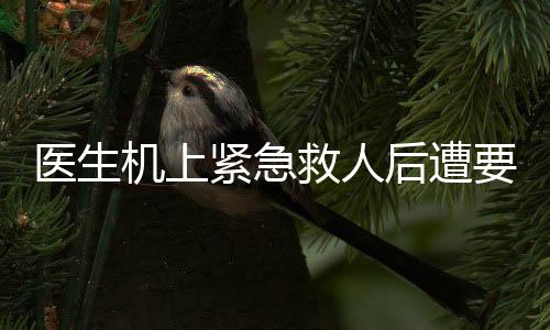 醫(yī)生機上緊急救人后遭要求出示執(zhí)業(yè)證書事件