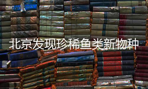 北京發(fā)現(xiàn)珍稀魚類新物種，以Beijing命名致敬科學(xué)發(fā)現(xiàn)之旅