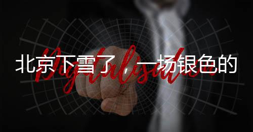 北京下雪了，一場銀色的冬之盛宴