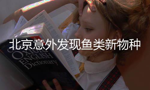 北京意外發(fā)現(xiàn)魚類新物種，揭示水域生態(tài)多樣性的新篇章