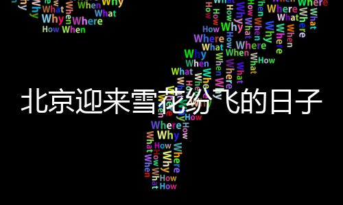 北京迎來雪花紛飛的日子——一場(chǎng)冬日的雪景紀(jì)實(shí)