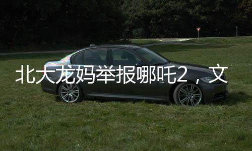 北大龍媽舉報哪吒2，文化產(chǎn)品與道德底線的爭議