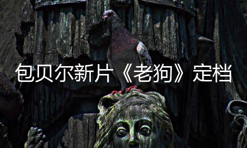 包貝爾新片《老狗》定檔3月14日！搭檔姜武包貝爾演繹血色東北往事！