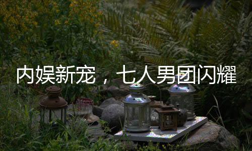 內(nèi)娛新寵，七人男團閃耀登場，新一代偶像力量的匯聚