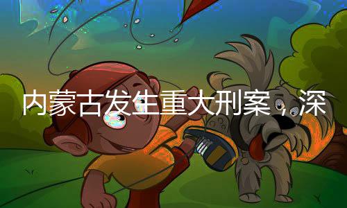 內(nèi)蒙古發(fā)生重大刑案，深度分析與反思