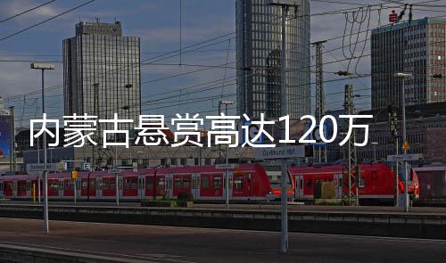 內(nèi)蒙古懸賞高達(dá)120萬征集重大命案線索揭秘