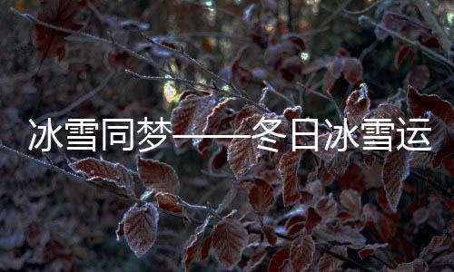 冰雪同夢——冬日冰雪運(yùn)動的盛況與熱情之夢