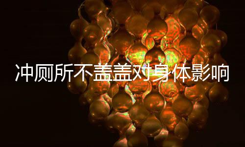 沖廁所不蓋蓋對(duì)身體影響有多大，深度解析與科學(xué)解讀
