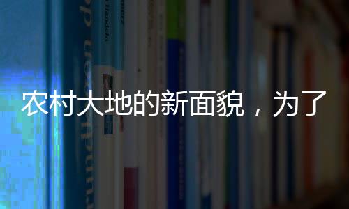 農(nóng)村大地的新面貌，為了拍攝成果不惜投入，番薯田里呈現(xiàn)創(chuàng)意打卡現(xiàn)場