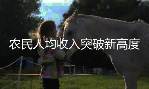 農民人均收入突破新高度，分析鄉(xiāng)村經(jīng)濟發(fā)展的亮點與挑戰(zhàn)