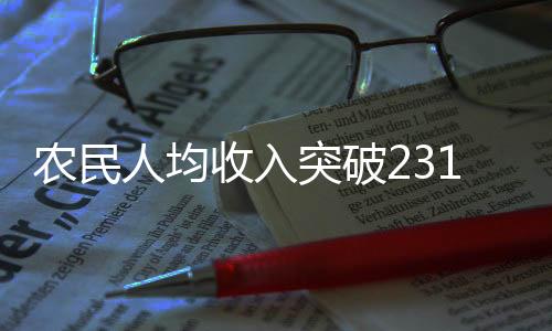 農(nóng)民人均收入突破23119元，農(nóng)村繁榮與持續(xù)發(fā)展的十大亮點(diǎn)解讀