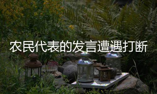 農民代表的發(fā)言遭遇打斷，話語權的尊重與基層聲音的思考