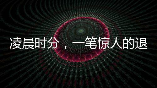凌晨時分，一筆驚人的退稅款項，超過五萬元揭秘