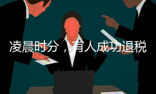 凌晨時(shí)分，有人成功退稅五萬多元，揭秘退稅流程與個(gè)人經(jīng)歷