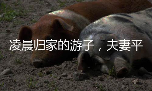 凌晨歸家的游子，夫妻平安歸來，父母鞭炮熱烈迎接