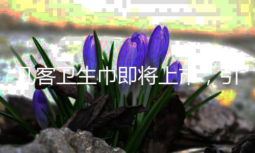 凡客衛(wèi)生巾即將上市，引領(lǐng)個人護(hù)理新篇章