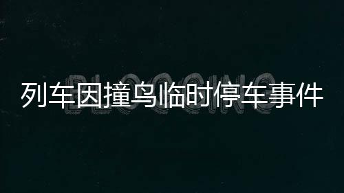 列車因撞鳥臨時停車事件，現(xiàn)場情況與反思