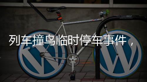 列車撞鳥(niǎo)臨時(shí)停車事件，鐵路部門誠(chéng)懇致歉
